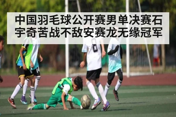 中国羽毛球公开赛男单决赛石宇奇苦战不敌安赛龙无缘冠军 | MG Sports